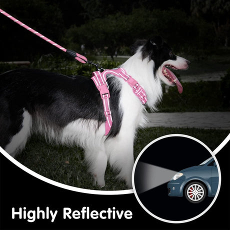 Frenkiez reflective dog leash Light Pink hondenriem > hondenlijn Standaard/One Size
