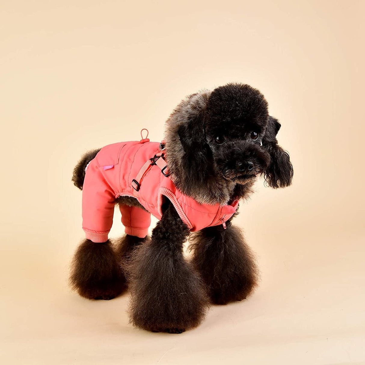 Pinkaholic Evelyn Jacket Harness Indian Pink - Premium Hondenkleding > hondenjas from Pinkaholic - Just €55.99! Shop now at Frenkiezdogshop