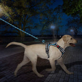 Frenkiez reflective dog leash blue - Premium hondenriem > hondenlijn from Frenkiez - Just €16.99! Shop now at Frenkiezdogshop