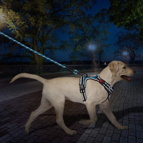 Frenkiez reflective dog leash blue hondenriem > hondenlijn Standaard/One Size
