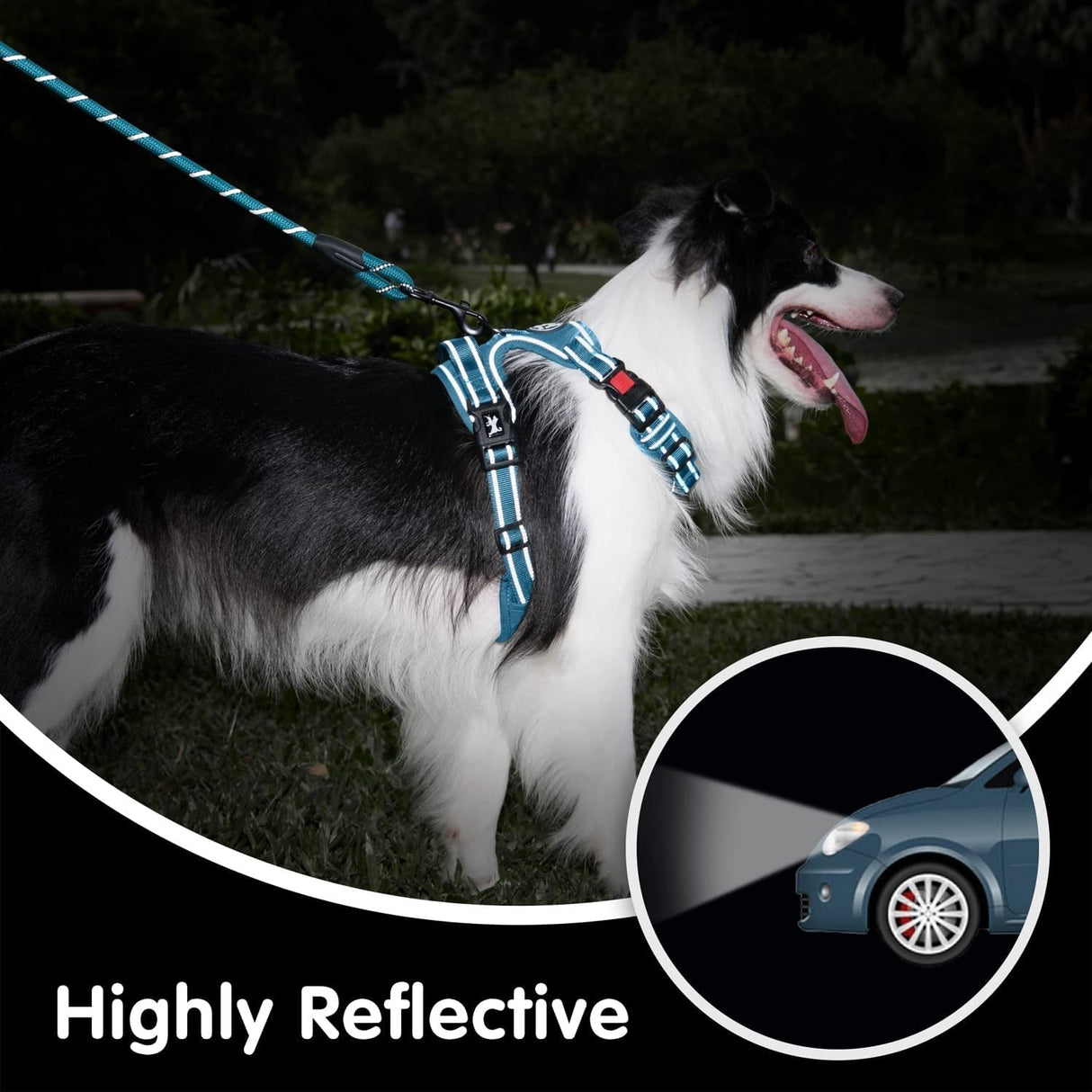 Frenkiez Y tuig dogharness reflective Mint Blue ( matching straps ) - Premium hondentuig > honden harnas from Frenkiez - Just €34.99! Shop now at Frenkiezdogshop