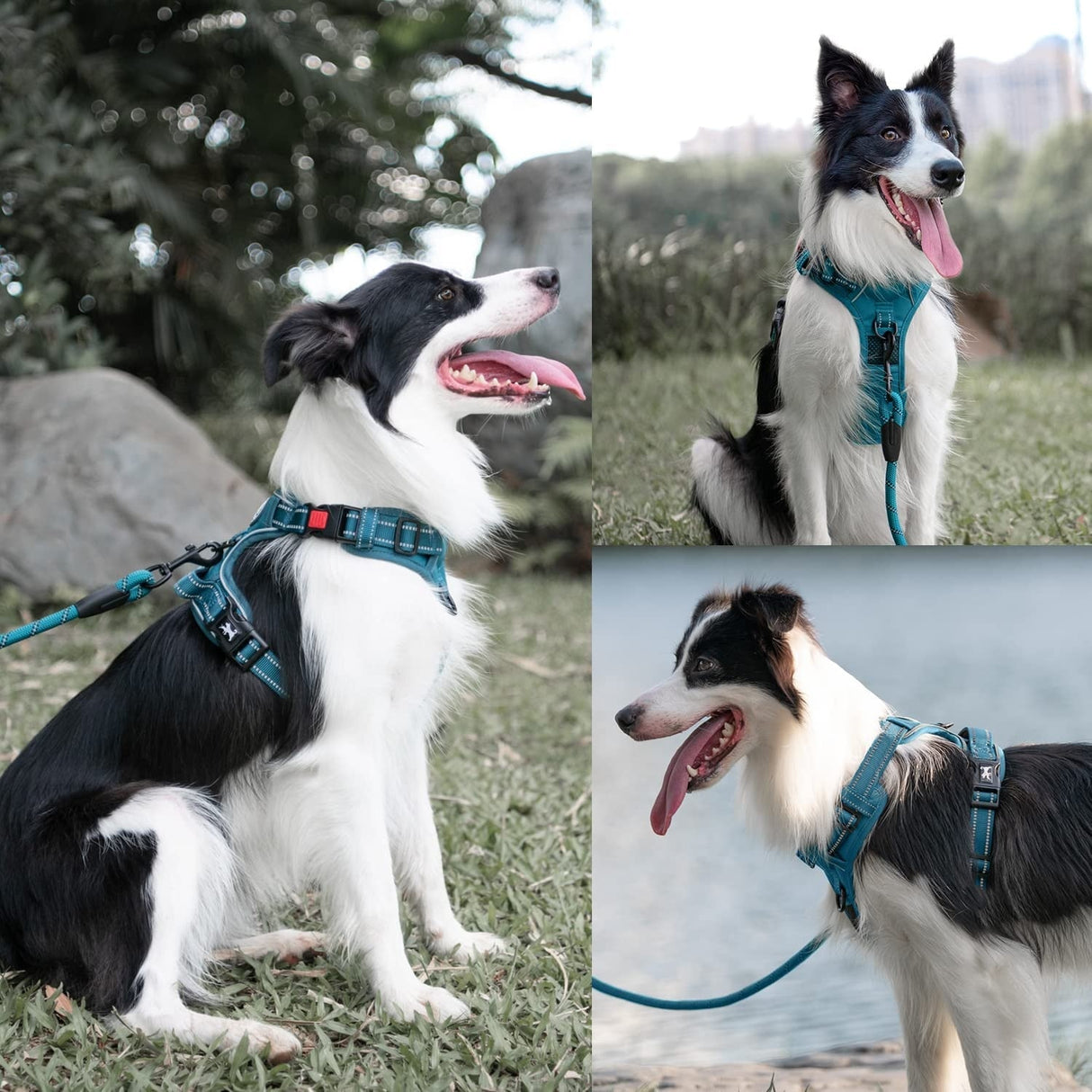 Frenkiez Y tuig dogharness reflective Petrol Blue ( matching straps ) - Premium hondentuig > honden harnas from Frenkiez - Just €34.99! Shop now at Frenkiezdogshop