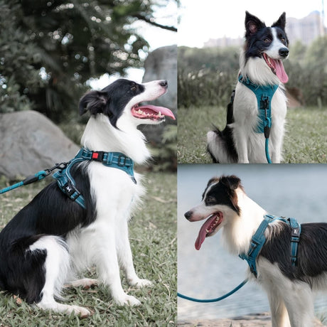 Frenkiez Y tuig dogharness reflective Petrol Blue ( matching straps ) hondentuig > honden harnas > Y tuigen Small