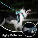 Frenkiez reflective dog leash Mint Blue - Premium hondenriem > hondenlijn from Frenkiez - Just €18.99! Shop now at Frenkiezdogshop