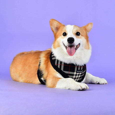 Puppia Dean Harness model A Black hondentuig > honden harnas > model A Small