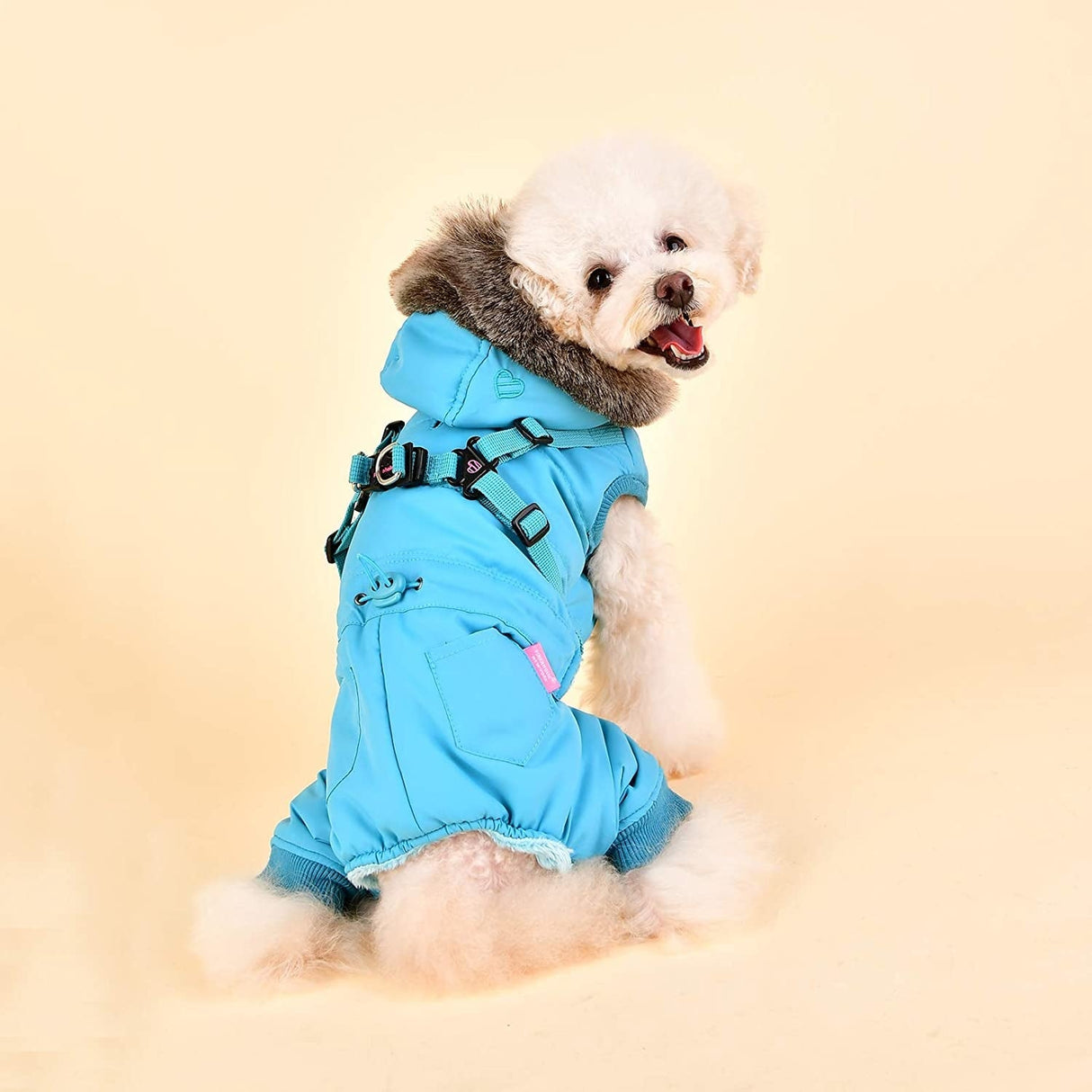 Pinkaholic Evelyn Jacket Harness Aqua - Premium Hondenkleding > hondenjas from Pinkaholic - Just €55.99! Shop now at Frenkiezdogshop