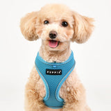 Puppia Soft Harness PRO model A Skyblue - Premium hondentuig > honden harnas from Puppia - Just €21.99! Shop now at Frenkiezdogshop