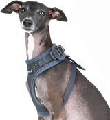 Puppia Soft Harness Ritefit Grey - Premium hondentuig > honden harnas from Puppia - Just €19.99! Shop now at Frenkiezdogshop