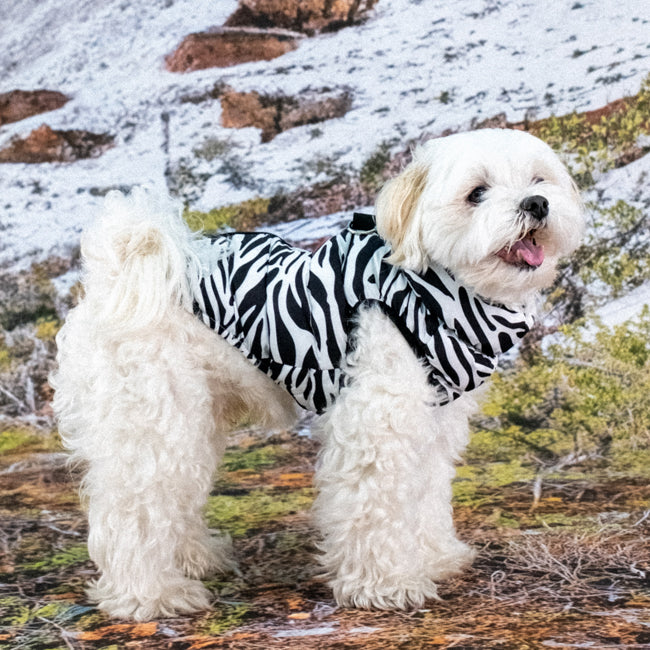 Puppia Cotton Touch Harness Pullover Mint