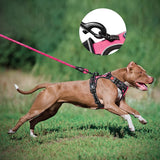 Frenkiez reflective dog leash pink - Premium hondenriem > hondenlijn from Frenkiez - Just €18.99! Shop now at Frenkiezdogshop