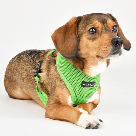 Puppia Soft Harness PRO model A Green hondentuig > honden harnas > model A Small