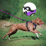 Frenkiez reflective dog leash purple - Premium hondenriem > hondenlijn from Frenkiez - Just €18.99! Shop now at Frenkiezdogshop