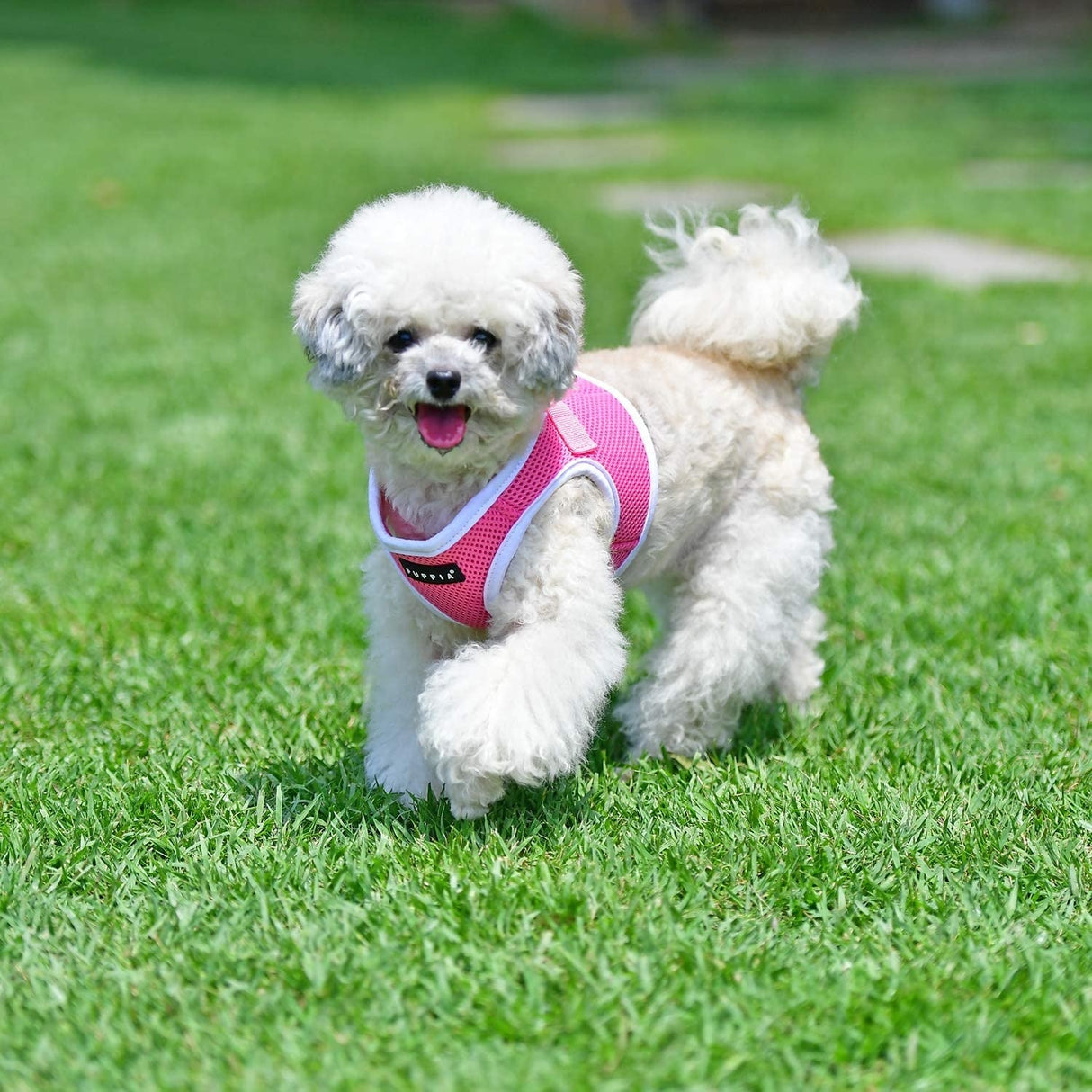 Puppia Soft Vest Harness II model B pink - Premium hondentuig > honden harnas from Puppia - Just €19.99! Shop now at Frenkiezdogshop