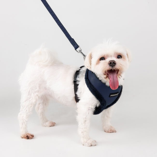 Puppia Wynter Harness model A Navy hondentuig > honden harnas > model A Small