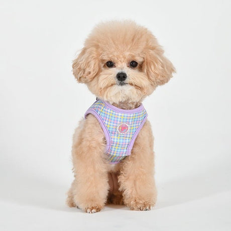 Pinkaholic Erasmus Vest Harness Violet hondentuig > honden harnas > model B Small