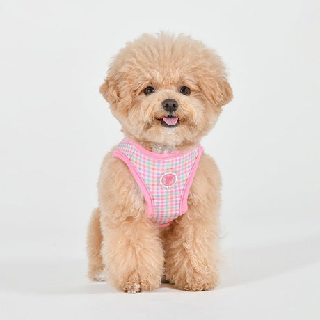 Pinkaholic Erasmus Vest Harness Pink hondentuig > honden harnas > model B Small