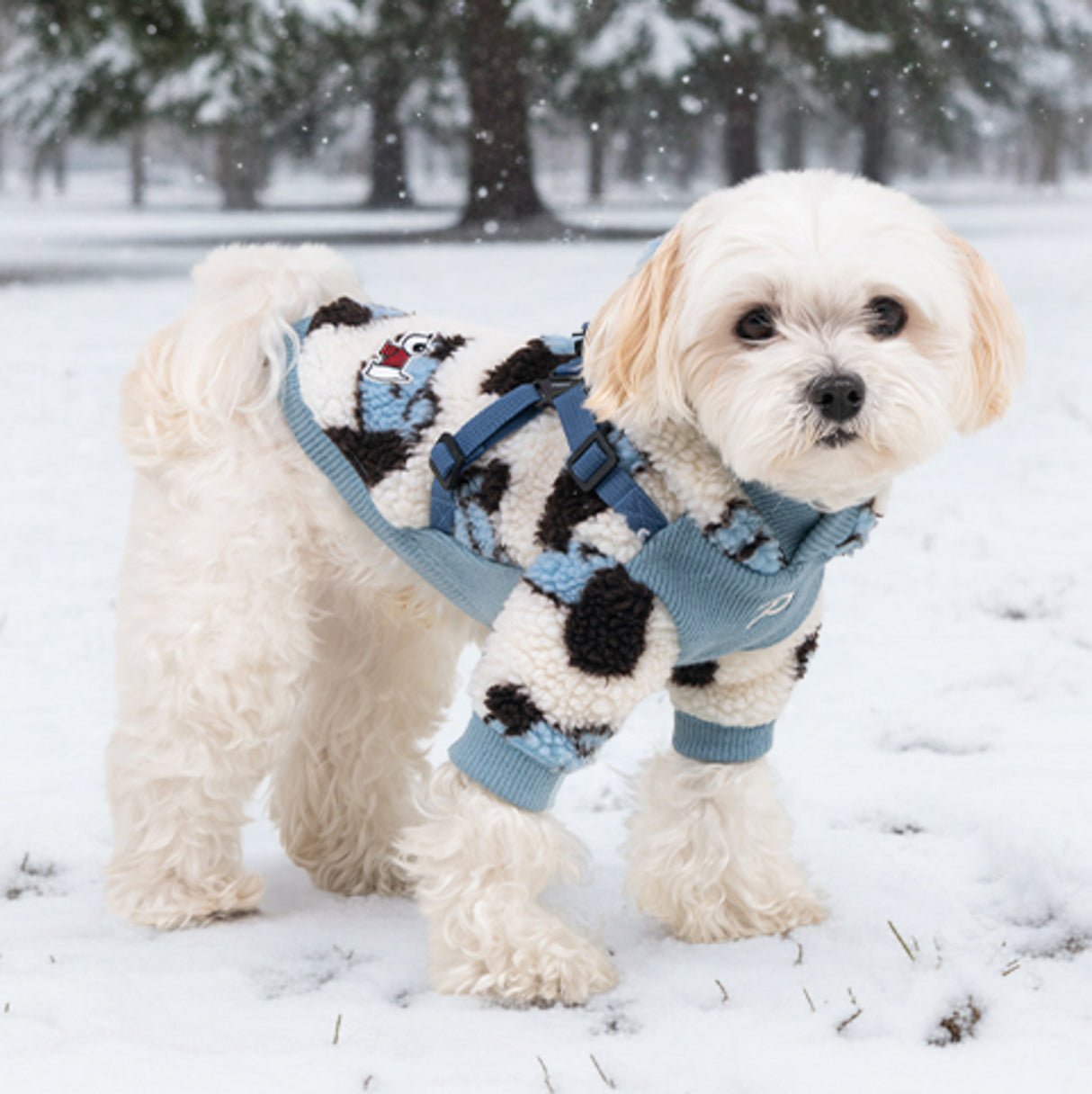 Puppia Max Hoody Jacket Harness Blue- Warm Hondenjasje met Geïntegreerd Tuig