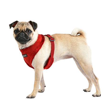 Puppia Terry Harness model A wine hondentuig > honden harnas > model A Small