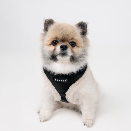 Puppia Winterstride Harness model A Black hondentuig > honden harnas > model A Small