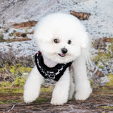 Puppia Wild Vest Harness B Black