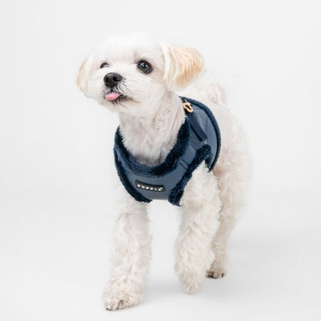 Puppia Wynter Vest Harness B Navy hondentuig > honden harnas > model B Small