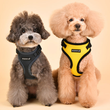 Puppia Soft Harness Ritefit Yellow hondentuig > honden harnas > model A Small