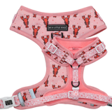 Big and Little Dogs Adjustable Dog Harness Aw Snap - Premium hondentuig > honden harnas from Big and Little Dogs - Just €28.99! Shop now at Frenkiezdogshop