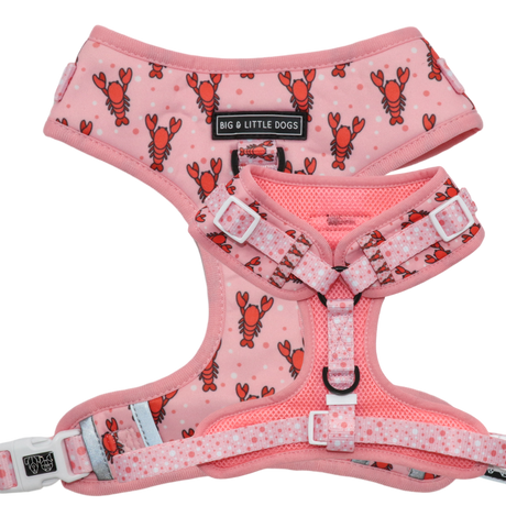 Big and Little Dogs Adjustable Dog Harness Aw Snap - Premium hondentuig > honden harnas from Big and Little Dogs - Just €28.99! Shop now at Frenkiezdogshop