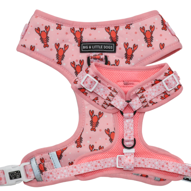 Big and Little Dogs Adjustable Dog Harness Aw Snap - Premium hondentuig > honden harnas from Big and Little Dogs - Just €28.99! Shop now at Frenkiezdogshop