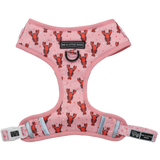 Big and Little Dogs Adjustable Dog Harness Aw Snap - Premium hondentuig > honden harnas from Big and Little Dogs - Just €28.99! Shop now at Frenkiezdogshop