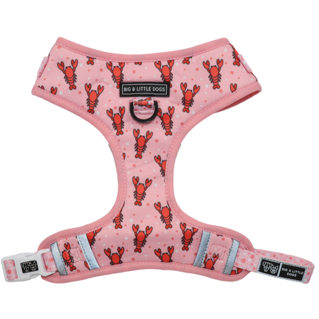 Big and Little Dogs Adjustable Dog Harness Aw Snap - Premium hondentuig > honden harnas from Big and Little Dogs - Just €28.99! Shop now at Frenkiezdogshop