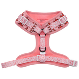 Big and Little Dogs Adjustable Dog Harness Aw Snap - Premium hondentuig > honden harnas from Big and Little Dogs - Just €28.99! Shop now at Frenkiezdogshop