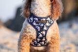 Big and Little Dogs Adjustable Dog Harness  Bite Me (Blue Version) - Premium hondentuig > honden harnas from Big and Little Dogs - Just €26.99! Shop now at Frenkiezdogshop