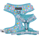 Big and Little Dogs Adjustable dog harness Blue Confetti - Premium hondentuig > honden harnas from Big and Little Dogs - Just €19.99! Shop now at Frenkiezdogshop