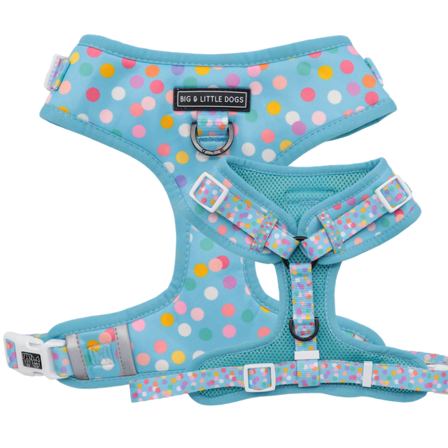 Big and Little Dogs Adjustable dog harness Blue Confetti - Premium hondentuig > honden harnas from Big and Little Dogs - Just €19.99! Shop now at Frenkiezdogshop