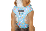 Big and Little Dogs Adjustable dog harness Blue Confetti - Premium hondentuig > honden harnas from Big and Little Dogs - Just €19.99! Shop now at Frenkiezdogshop