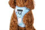 Big and Little Dogs Adjustable dog harness Blue Splatter Terrazzo - Premium hondentuig > honden harnas from Big and Little Dogs - Just €25.99! Shop now at Frenkiezdogshop