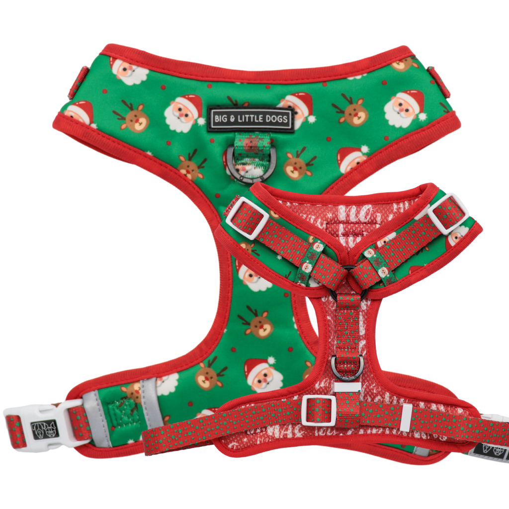 Big and Little Dogs Adjustable dog harness Deck The Paws - Premium hondentuig > honden harnas from Big and Little Dogs - Just €19.99! Shop now at Frenkiezdogshop