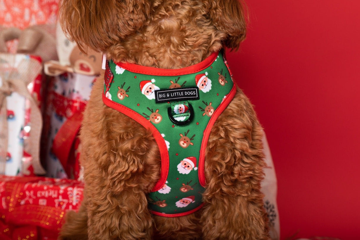 Big and Little Dogs Adjustable dog harness Deck The Paws - Premium hondentuig > honden harnas from Big and Little Dogs - Just €19.99! Shop now at Frenkiezdogshop