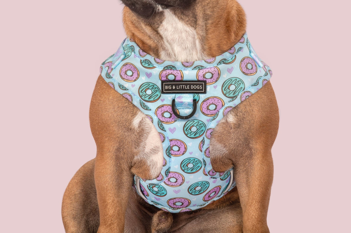 Big and Little Dogs Adjustable Dog Harness Donut Kill My Vibe ( blue version ) - Premium hondentuig > honden harnas from Big and Little Dogs - Just €22.99! Shop now at Frenkiezdogshop