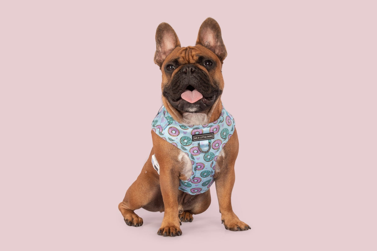 Big and Little Dogs Adjustable Dog Harness Donut Kill My Vibe ( blue version ) - Premium hondentuig > honden harnas from Big and Little Dogs - Just €22.99! Shop now at Frenkiezdogshop