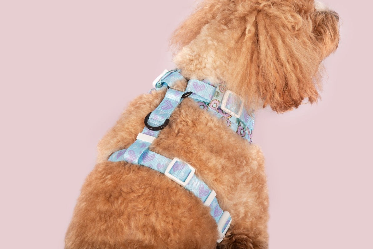 Big and Little Dogs Adjustable Dog Harness Donut Kill My Vibe ( blue version ) - Premium hondentuig > honden harnas from Big and Little Dogs - Just €22.99! Shop now at Frenkiezdogshop