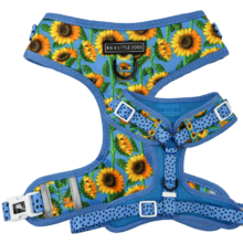 Big and Little Dogs Adjustable Dog Harness Hello Sunshine ( XLARGE) - Premium hondentuig > honden harnas from Big and Little Dogs - Just €19.99! Shop now at Frenkiezdogshop