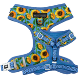 Big and Little Dogs Adjustable Dog Harness Hello Sunshine ( XLARGE) - Premium hondentuig > honden harnas from Big and Little Dogs - Just €19.99! Shop now at Frenkiezdogshop