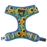 Big and Little Dogs Adjustable Dog Harness Hello Sunshine ( XLARGE) - Premium hondentuig > honden harnas from Big and Little Dogs - Just €19.99! Shop now at Frenkiezdogshop