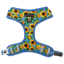 Big and Little Dogs Adjustable Dog Harness Hello Sunshine ( XLARGE) - Premium hondentuig > honden harnas from Big and Little Dogs - Just €19.99! Shop now at Frenkiezdogshop