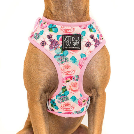 Big and Little Dogs Adjustable I'm A Succa For You ( XLARGE ) hondentuig > honden harnas > model A Small