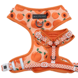 Big and Little Dogs Adjustable Just Peachy - Premium hondentuig > honden harnas from Big and Little Dogs - Just €19.99! Shop now at Frenkiezdogshop