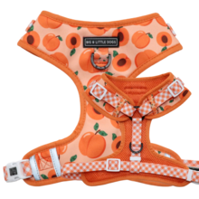 Big and Little Dogs Adjustable Just Peachy - Premium hondentuig > honden harnas from Big and Little Dogs - Just €19.99! Shop now at Frenkiezdogshop