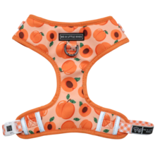 Big and Little Dogs Adjustable Just Peachy - Premium hondentuig > honden harnas from Big and Little Dogs - Just €19.99! Shop now at Frenkiezdogshop